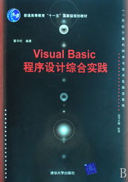 Visual Basic程序設(shè)計(jì)綜合實(shí)踐——21世紀(jì)計(jì)算機(jī)科學(xué)與技術(shù)實(shí)踐型教程評(píng)介